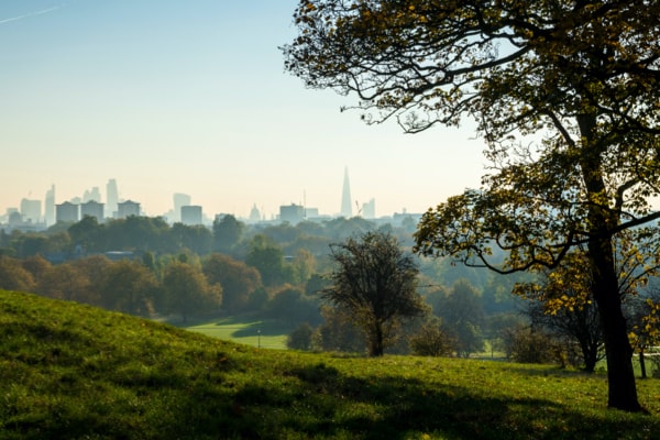 View of a park with London skyline on the horizon