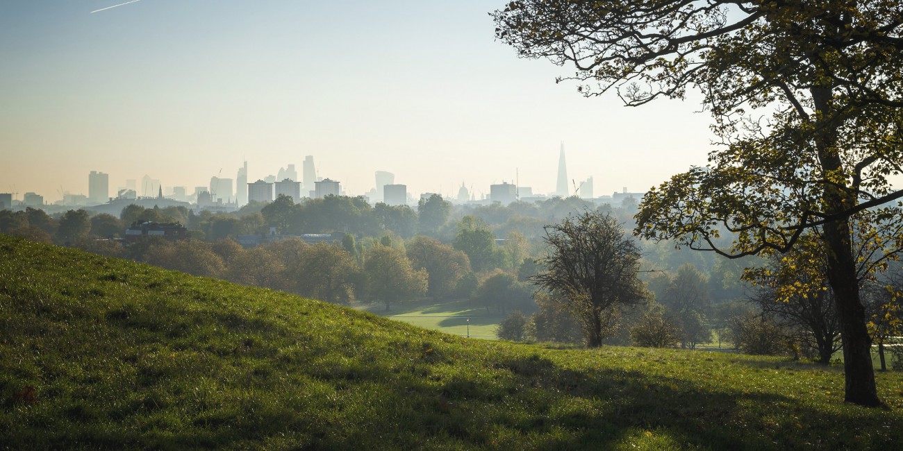 Landscape view of London, England from Primrose Hill Park at sunrise